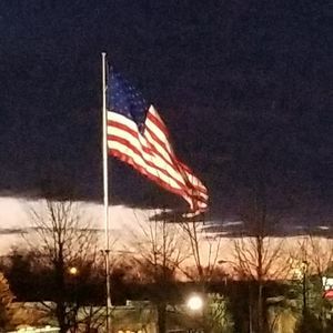 Meet your Posher, Dawn